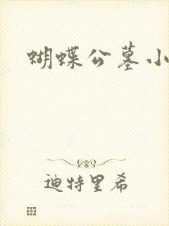 蝴蝶公墓小说封面