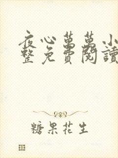 夜心万万小说完整免费阅读全文封面