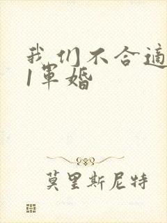 我们不合适1v1军婚封面