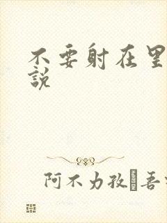 不要射在里面小说