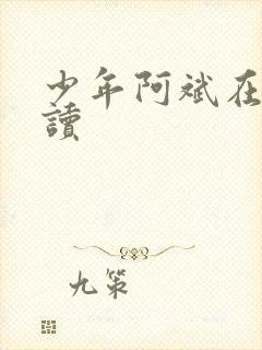 少年阿斌在线阅读