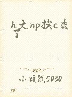 h文np挨c爽了
