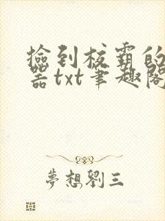 捡到校霸的遥控器txt笔趣阁