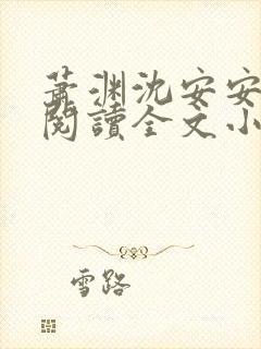 萧渊沈安安免费阅读全文小说封面