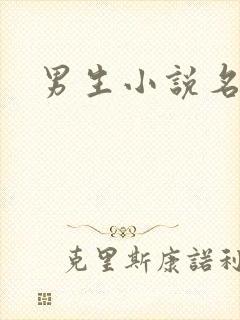 男生小说名字