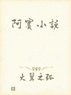 阿宾小说