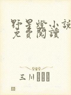 野星灯小说全文免费阅读