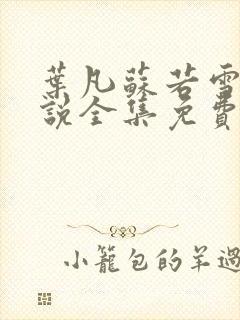 叶凡苏若雪的小说全集免费阅读封面