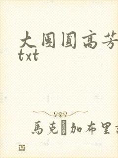 大团圆高芳小说txt