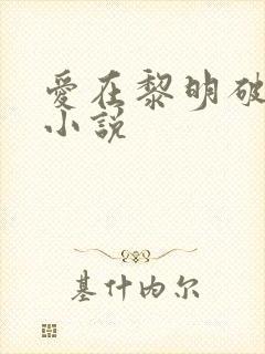 爱在黎明破晓前小说