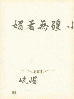 媚者无疆 小说封面