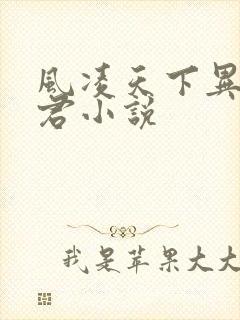 风凌天下异世邪君小说