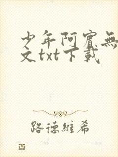 少年阿宾无删全文txt下载