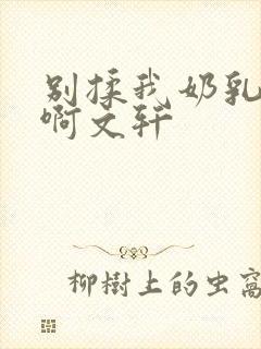 别揉我奶乳嗯～啊文轩