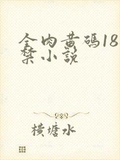 全肉黄码18无禁小说