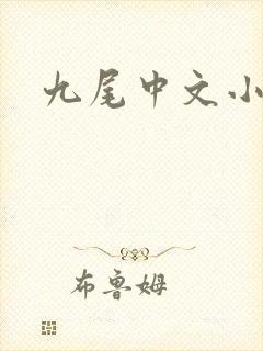 九尾中文小说网