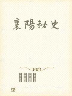 襄阳秘史