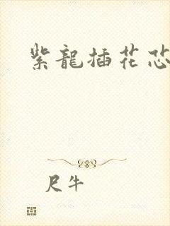 紫龙插花芯方正封面