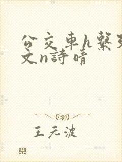 公交车h系列辣文n诗晴