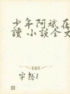 少年阿斌在线阅读 小说全文免费
