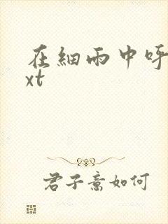 在细雨中呼喊txt