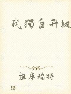 我独自升级小说