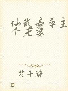 仙武帝尊主角几个老婆封面