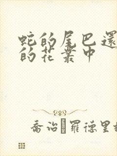 蛇的尾巴还在我的花丛中封面