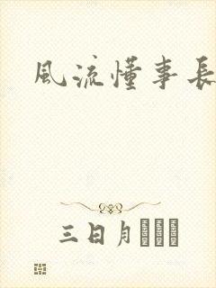 风流懂事长