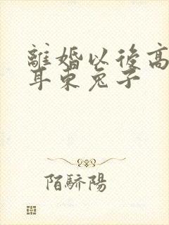 离婚以后高干 耳东兔子