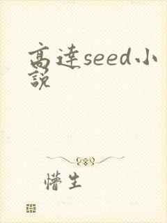 高达seed小说封面
