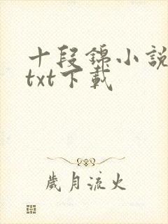 十段锦小说全本txt下载