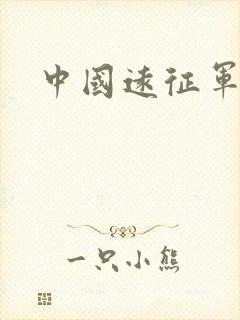 中国远征军小说