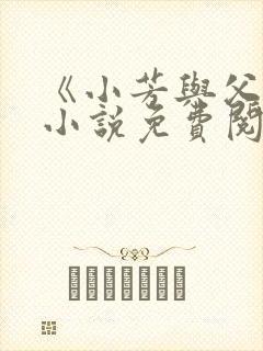 《小芳与父亲》小说免费阅读封面