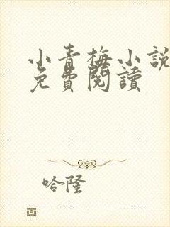 小青梅小说全文免费阅读封面