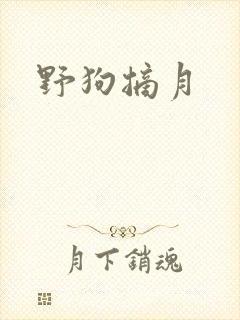 野狗摘月封面