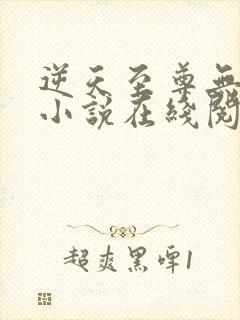 逆天至尊无删减小说在线阅读