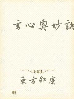 玄心奥妙诀封面