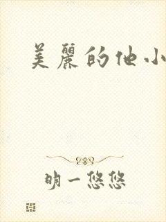 美丽的他小说封面