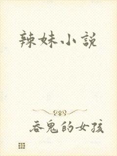 辣妹小说