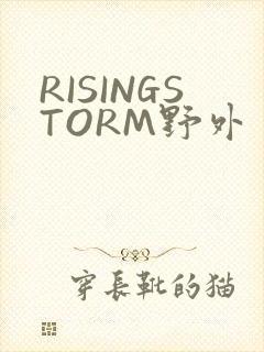 RISINGSTORM野外