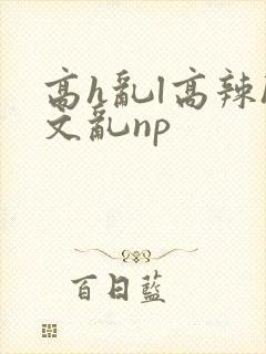 高h乱l高辣h文乱np