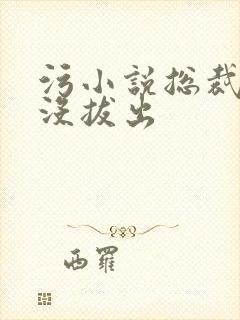 污小说总裁整夜没拔出