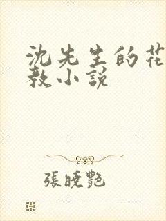 沈先生的花式管教小说