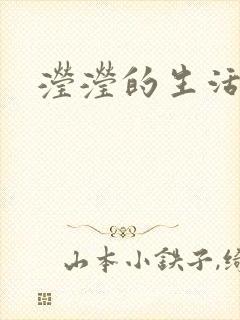 滢滢的生活日记封面