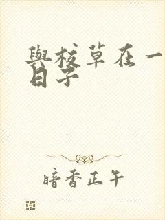 与校草在一起的日子