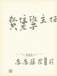 抓住班主任的两只兔子