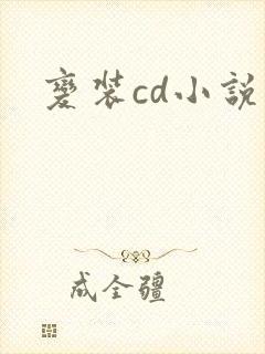 变装cd小说封面