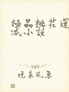 极品桃花运未删减小说