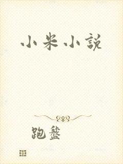 小米小说